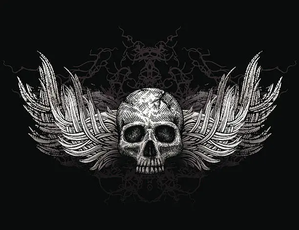 Vector illustration of Skull with wings