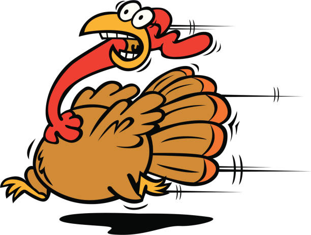 Turkey Running Scared Vector 70+ Running Scared Turkey Stock Illustrations, Royalty-Free Vector ...