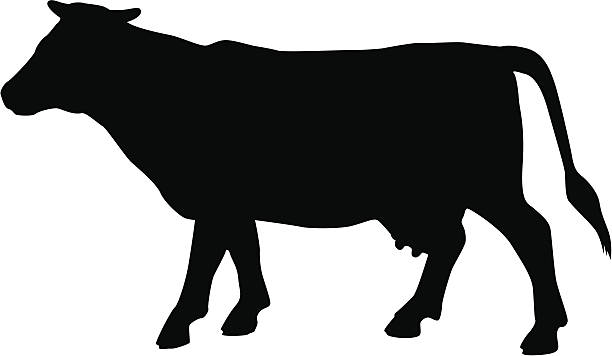 Vaca - ilustração de arte em vetor
