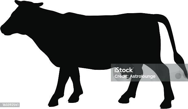Vetores de Vaca e mais imagens de Gado Doméstico Bovino - Gado Doméstico Bovino, Fêmea de mamífero, Silhueta
