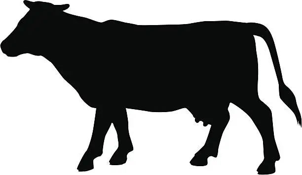 Vector illustration of cow