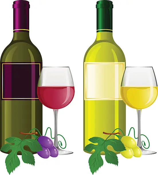 Vector illustration of Wine tasting