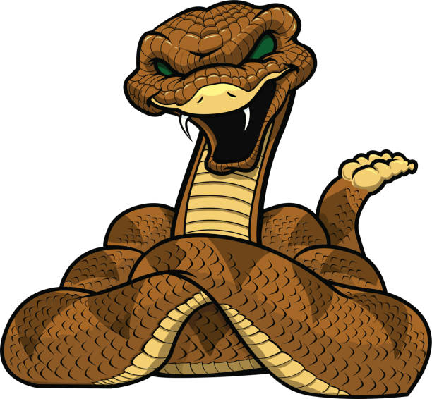 ilustraciones, imágenes clip art, dibujos animados e iconos de stock de serpiente de cascabel mascot - snake rattlesnake poisonous organism fang