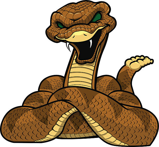 ilustrações, clipart, desenhos animados e ícones de cascavel mascote - snake cobra cartoon rattlesnake