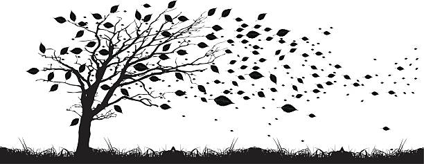 ilustrações, clipart, desenhos animados e ícones de árvore de outono - autumn silhouette tree leaf