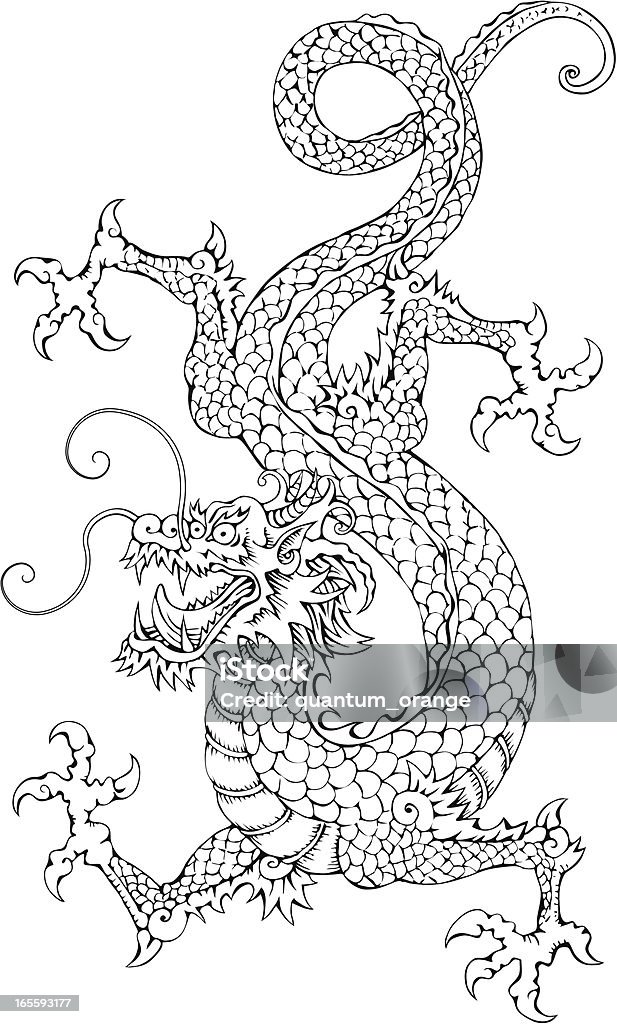 Chinese Dragon Hand drawn Illustration of a Chinese Dragon.  Chinese Dragon stock vector