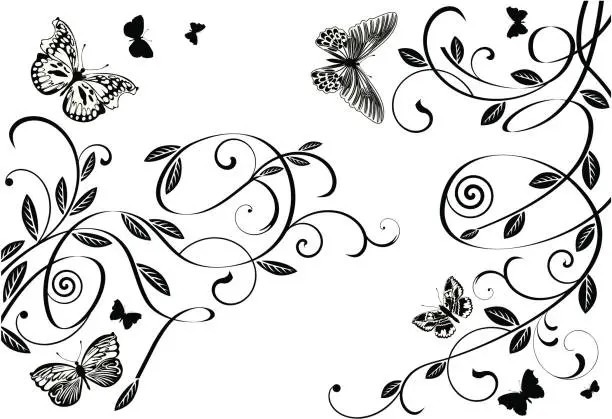 Vector illustration of Butterflies and scrolls