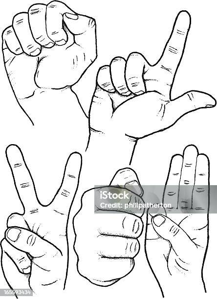 Sketched Hand Gestures Stock Illustration - Download Image Now - Sign Language, Symbols Of Peace, Communication