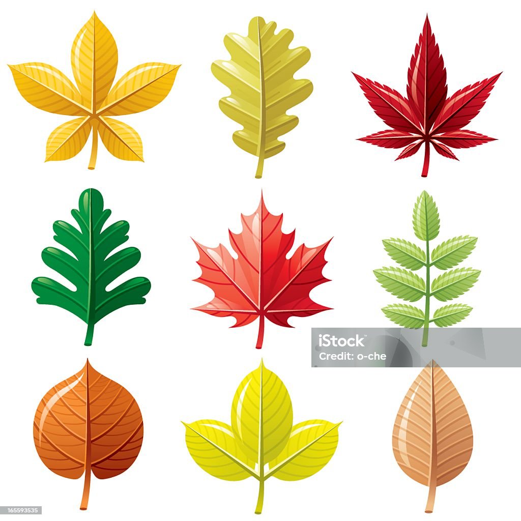 Automne leafs Ensemble d'icônes - clipart vectoriel de Arbre libre de droits