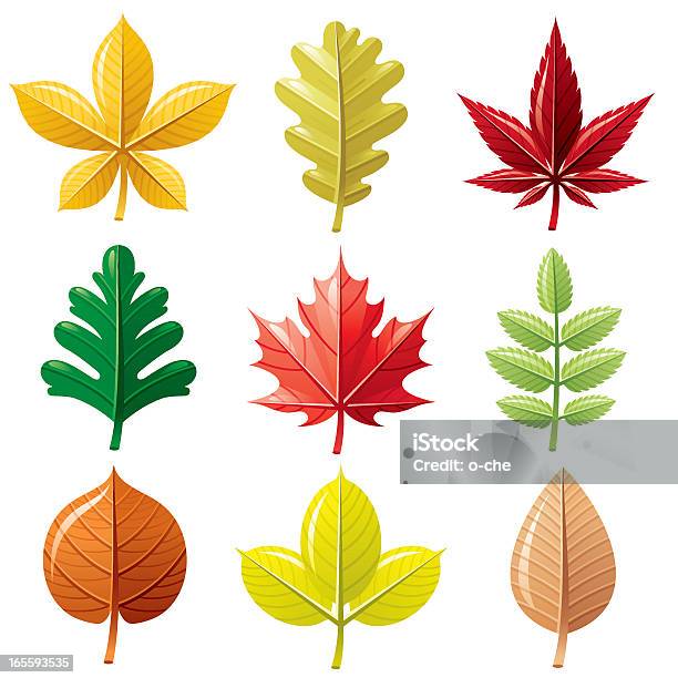 Autumn Leafs アイコンセット - かえでの葉のベクターアート素材や画像を多数ご用意 - かえでの葉, アイコン, アイコンセット