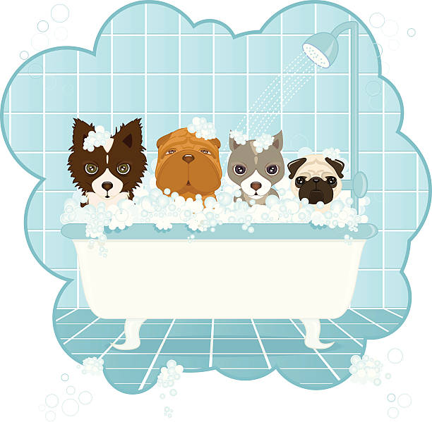 ilustrações de stock, clip art, desenhos animados e ícones de cão de lavagem - dog bathtub washing puppy