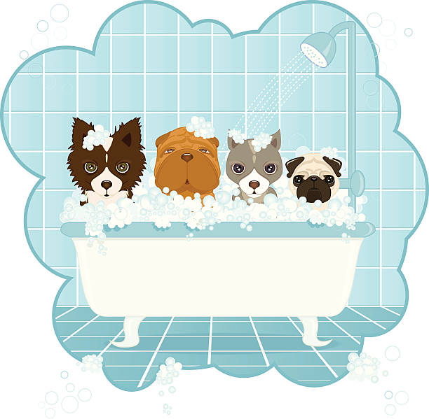 Dog Wash vector art illustration