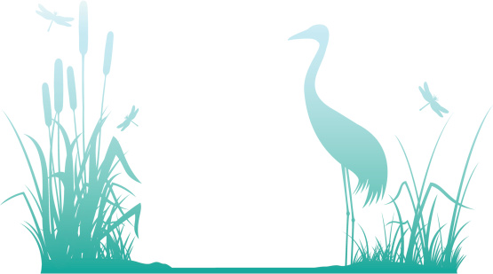 A decorative border of a riverbank with grasses, bullrushes and a crane. One simple gradient used.