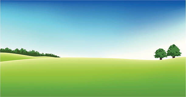 Panoramic golf field scenery Green and clean nature scenery sunny day stock illustrations