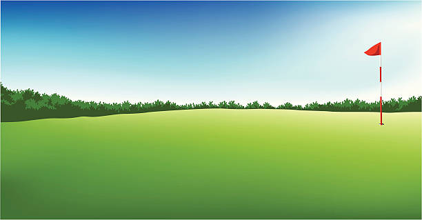 golf feld mit flagge - golf landscape golf course tree stock-grafiken, -clipart, -cartoons und -symbole