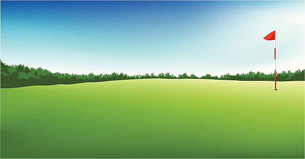 illustrazioni stock, clip art, cartoni animati e icone di tendenza di campo da golf con bandiera - hill grass park sky