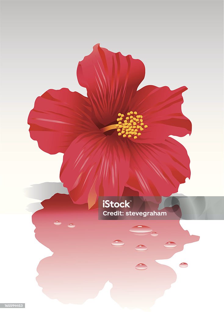 Flor de Hibiscus - arte vectorial de Hibisco libre de derechos