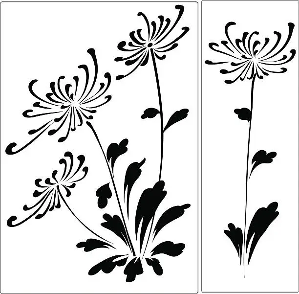Vector illustration of Chrysanthemum