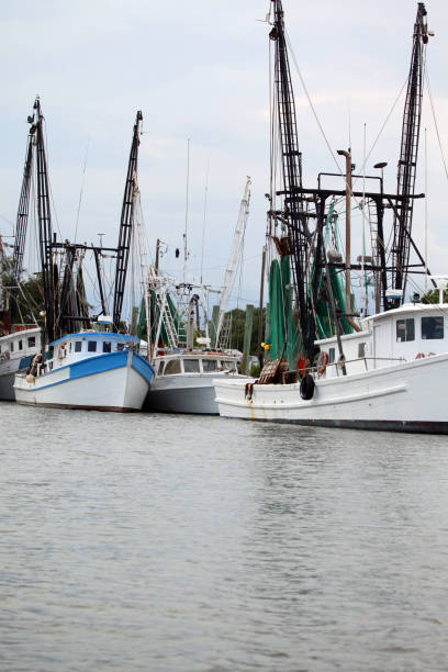 istock Shrimp Boats in Harbor 165595005