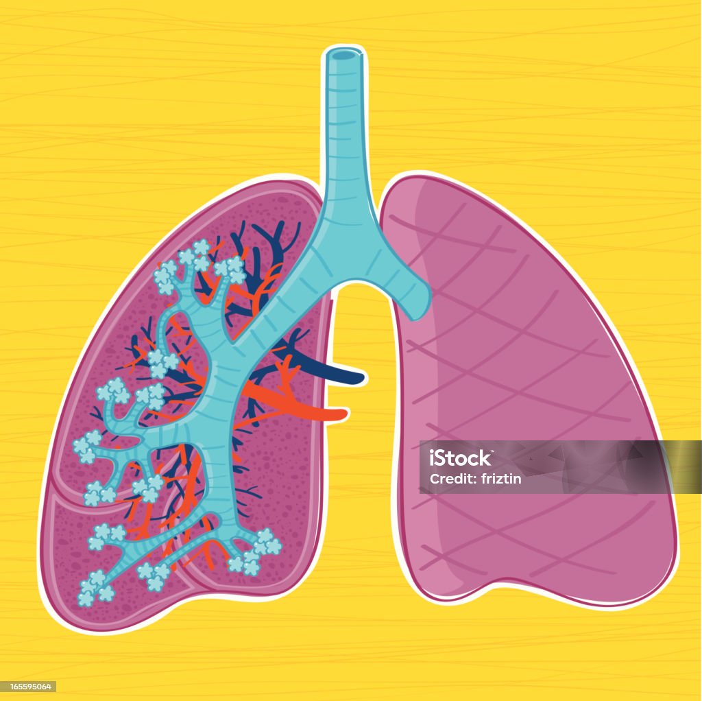 수작업 구조 인간 폐 - 로열티 프리 1차 기관지 벡터 아트