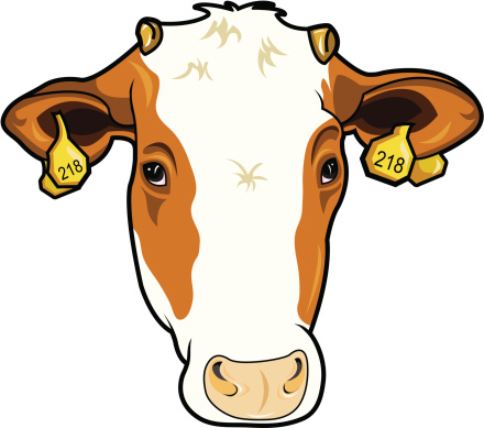 Vector illustration of a cow.