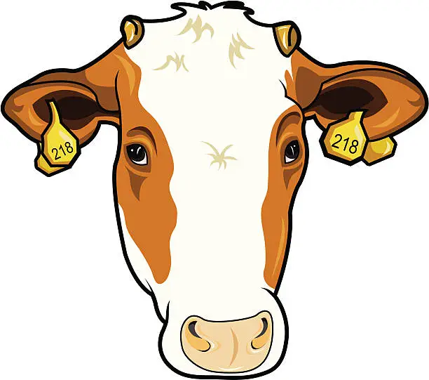 Vector illustration of Cow
