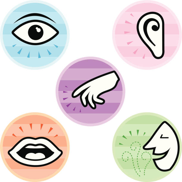 Five Senses Icons Icon set for the five different senses: sight, hearing, touch, taste and smell. visual sense stock illustrations