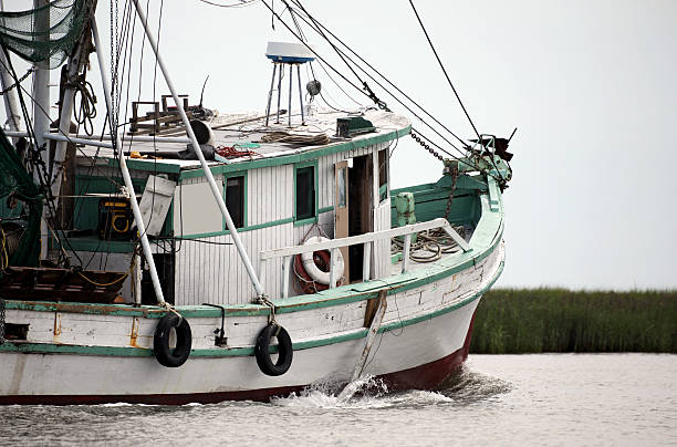 mattina peschereccio - barca per pesca di gamberetti foto e immagini stock