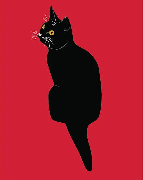 Vector illustration of black cat or kitten