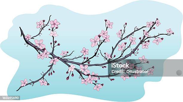 Blooming Agence De Vecteurs libres de droits et plus d'images vectorielles de Cerisier - Cerisier, Fleur - Flore, Fleur de cerisier