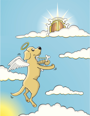 Ilustración de Perro Flying Hasta El Cielo y más Vectores Libres de  Derechos de Ala de animal - Ala de animal, Animal, Arpa - iStock
