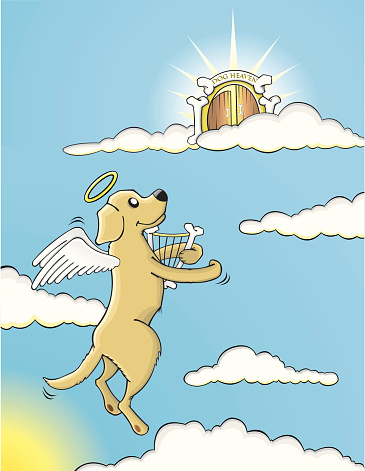 Ilustración de Perro Flying Hasta El Cielo y más Vectores Libres de Derechos de Ala de animal - Ala de animal, Animal, Arpa - iStock Ilustración de Perro Flying Hasta El Cielo y más Vectores Libres de Derechos de Ala de animal - Ala de animal, Animal, Arpa - iStock