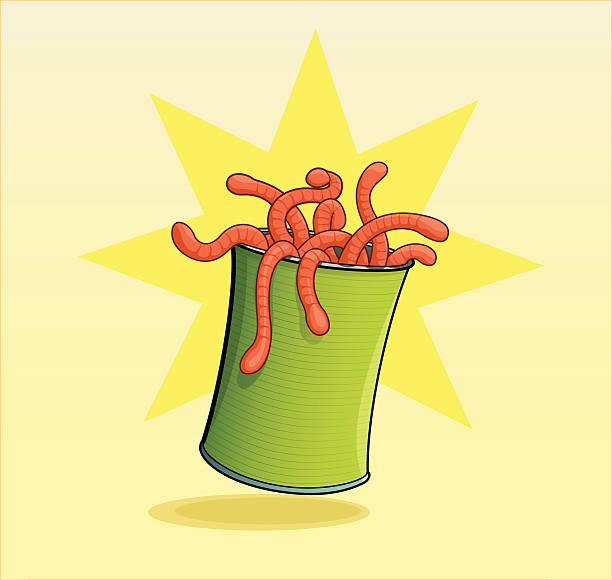 Can Of Worms (expressão inglesa) - ilustração de arte vetorial