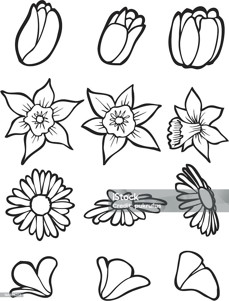 Garden Flower Line Art Stock Illustration - Download Image Now ...