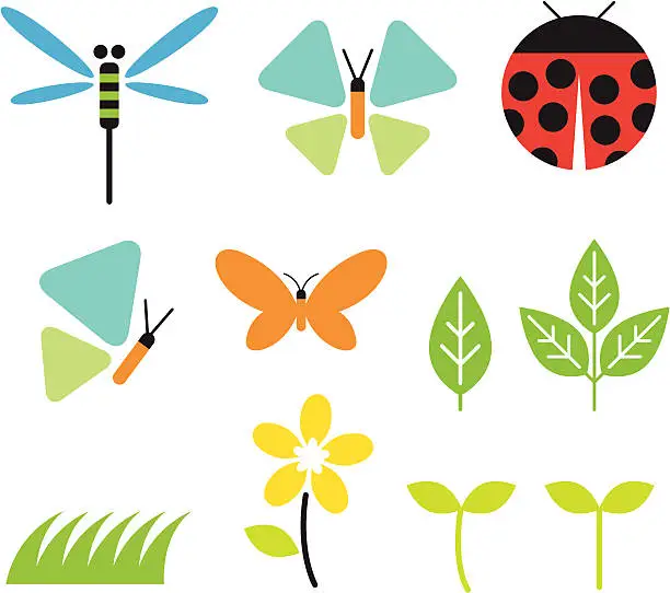 Vector illustration of Bugs and Garden