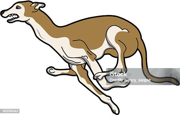 Greyhound Stock Vektor Art und mehr Bilder von Greyhound - Hunderasse - Greyhound - Hunderasse, Illustration, Hund