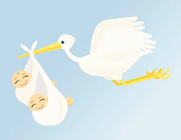 Vector illustration of Flying Stork with Twins