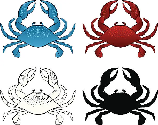 Vector illustration of Pen and Ink Crab