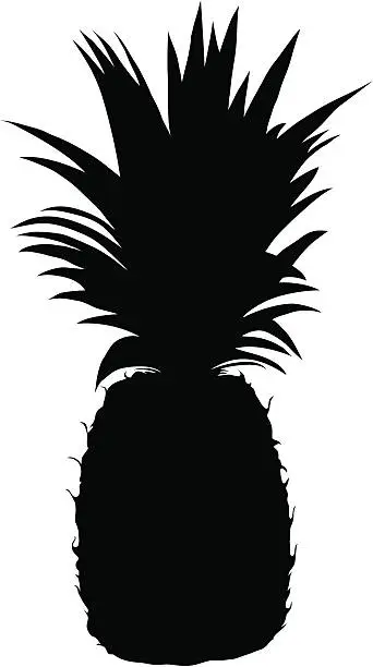 Vector illustration of Pineapple