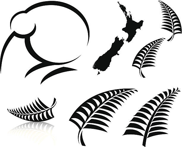 새로운 질란드 아이콘 - silver fern stock illustrations