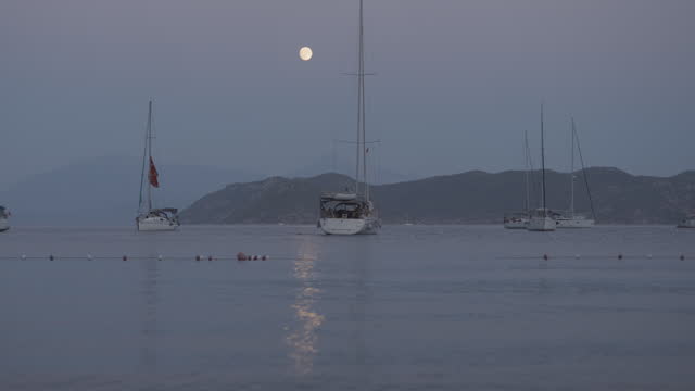 sailing under moonlight