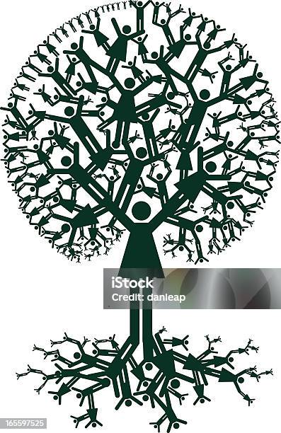 Stammbaum Herkunft Stock Vektor Art und mehr Bilder von Baum - Baum, Menschen, Ursprung