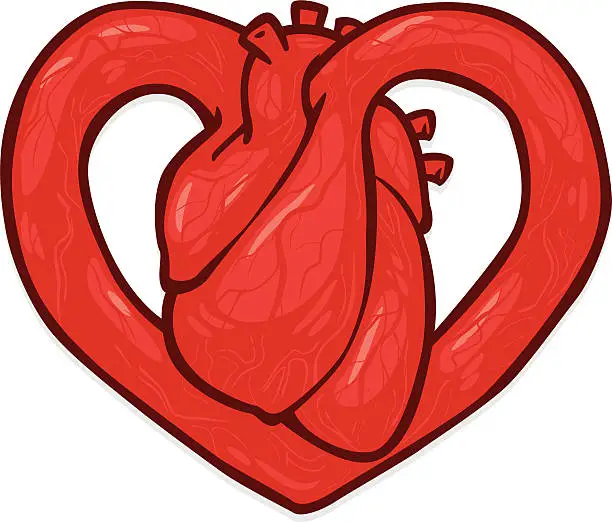 Vector illustration of hearty heart