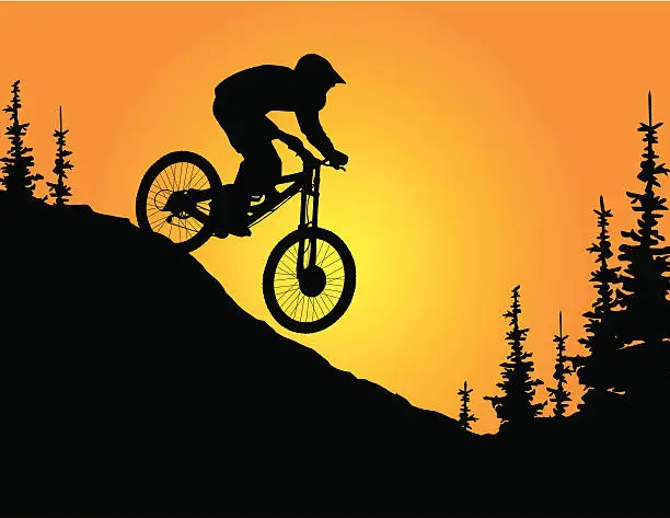 Vector illustration of Mountain Biker