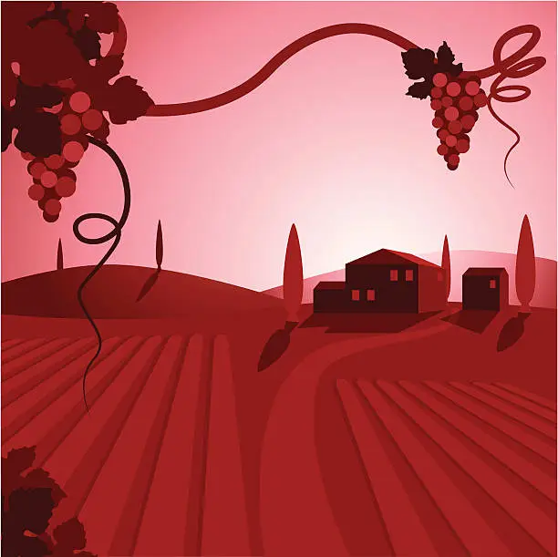 Vector illustration of A cartoon depiction of a wine vineyard and houses