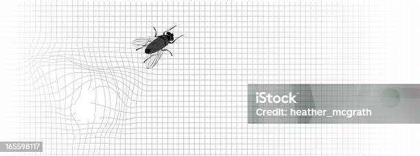 Vetores de Voe Na Tela e mais imagens de Inseto - Inseto, Fuga, Mosca