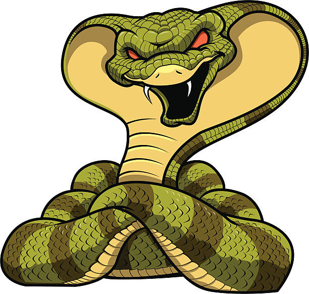 illustrazioni stock, clip art, cartoni animati e icone di tendenza di cobra mascotte - cobra