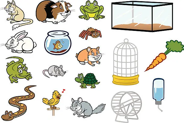 Vector illustration of Various Pet Store Animals and Cages