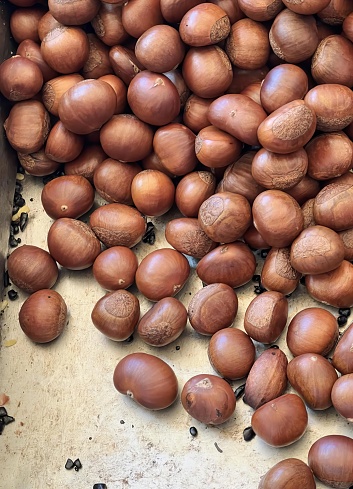 a photography of a pile of nuts sitting on top of a table, mortared nuts are piled on a table in a box.