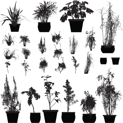 A collection of 25 detailed plant silhouettes. Each plant pot is a different pathway.